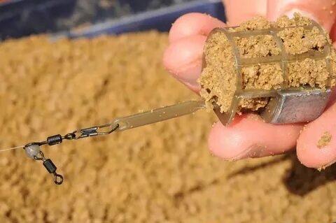 Фото с сайта: https://avatars.mds.yandex.net