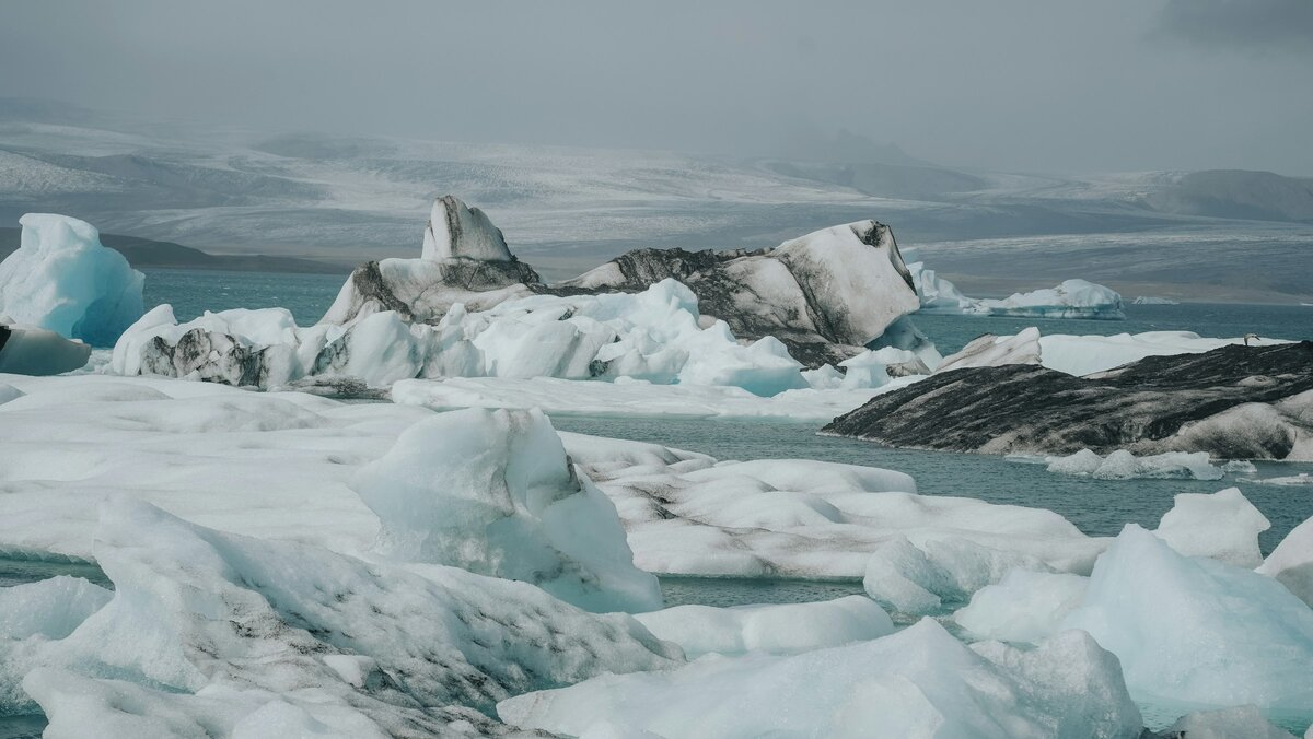 Фото с бесплатного фотоистока https://unsplash.com, автор Chris Rosiak