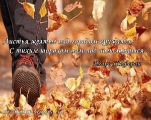 Листья желтые...