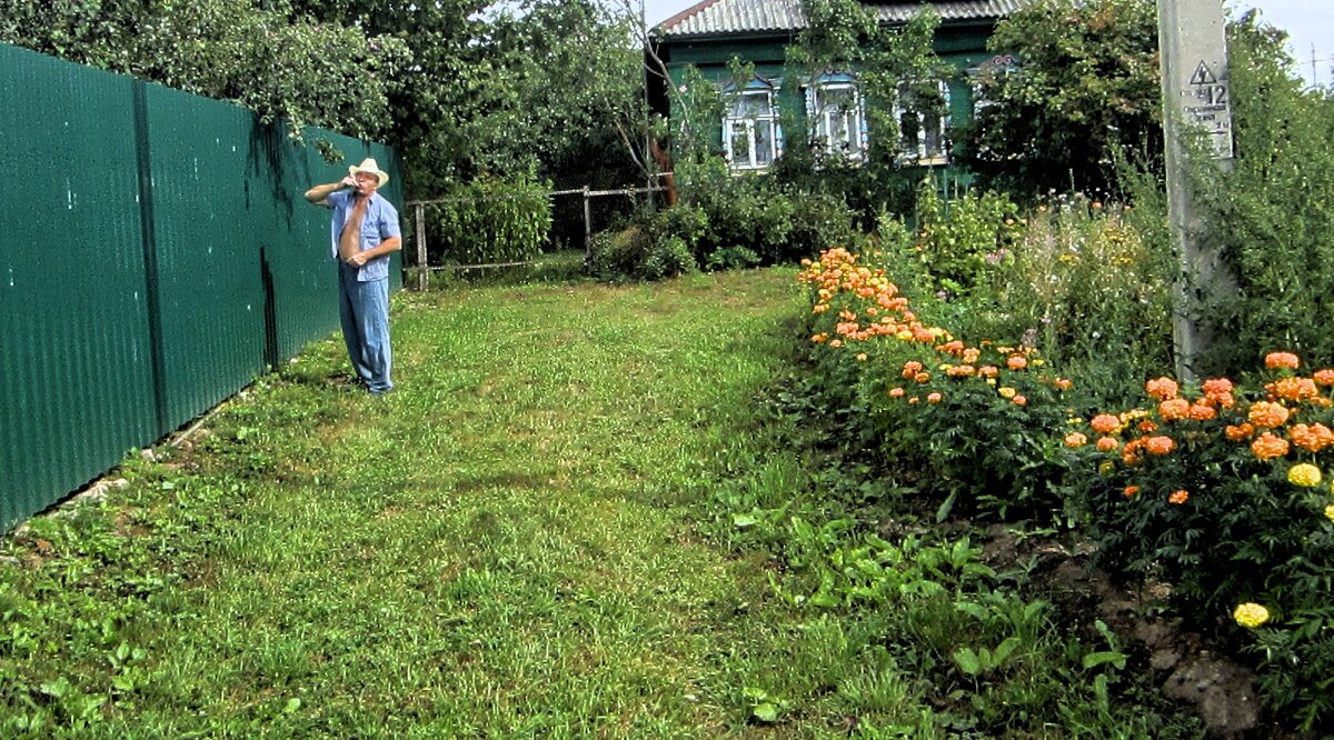 Поспели вишни в саду у Льва и Веры... Как не воспользоваться таким случаем "деревенскому деду"! Фото из личного архива автора.