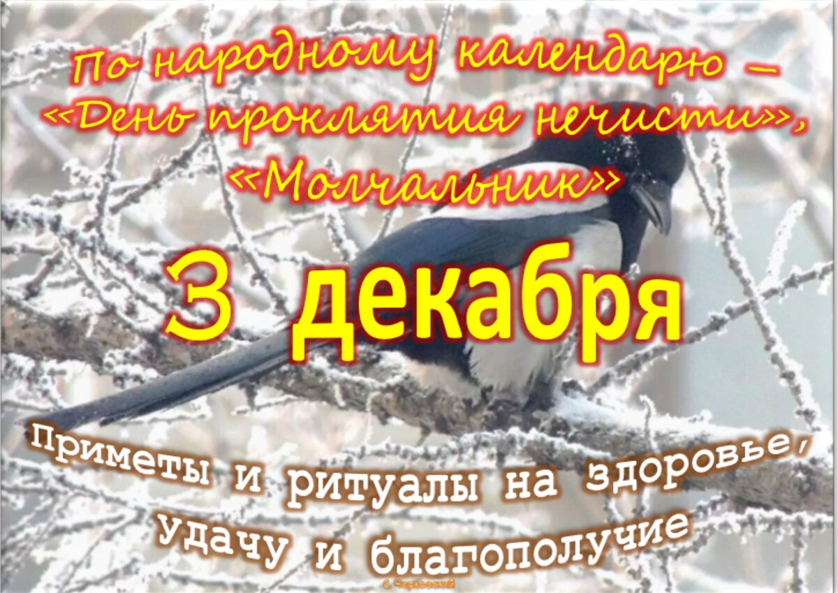 3 декабря - Приметы, обычаи и ритуалы, традиции и поверья дня. Все  праздники дня во всех календарях. | Сергей Чарковский Все праздники | Дзен