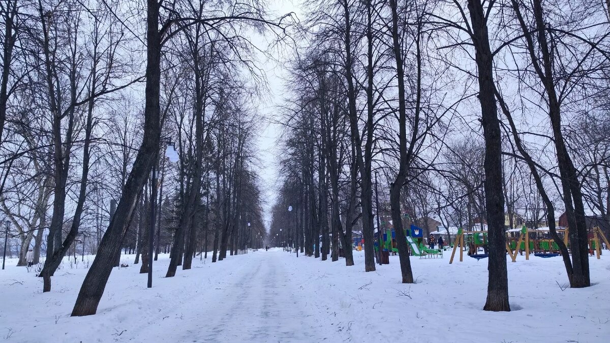     По предварительным данным, предстоящей зимой погода в Нижегородской области будет соответствовать климатической норме. Об этом NewsNN рассказала начальник отдела метеопрогнозов ФГБУ «Верхне-Волжское УГМС» Ольга Мокеева.