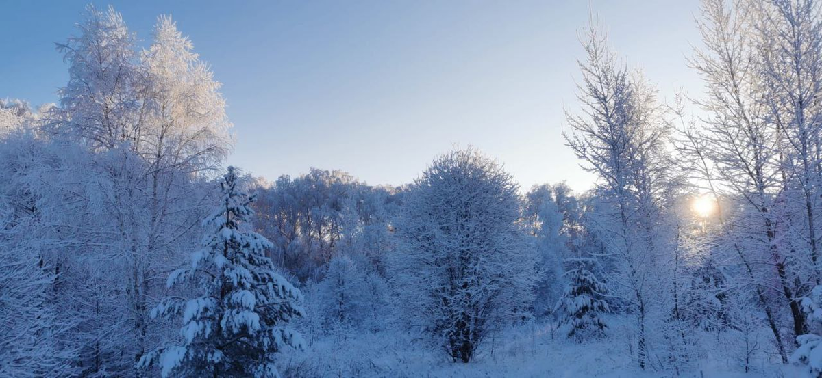 Фото из архива