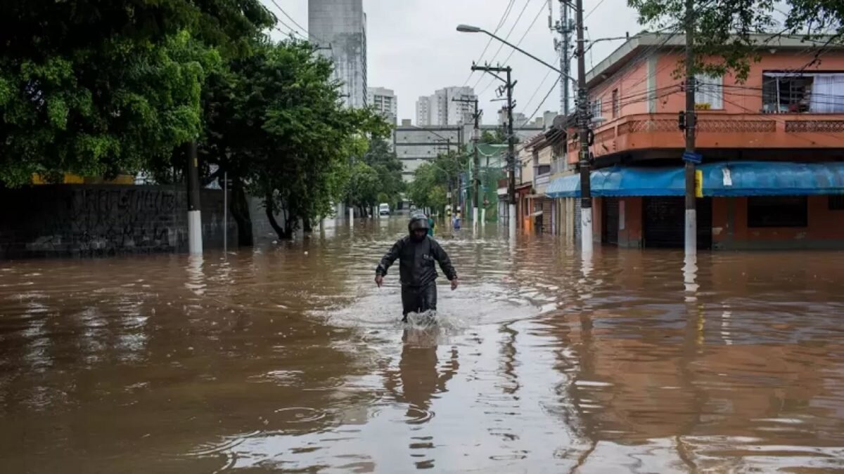    Фото: Getty Images Август Макаров