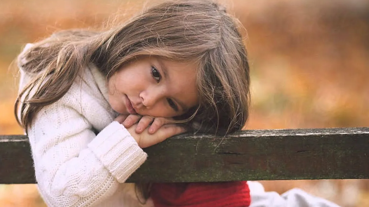 Яндекс картинки