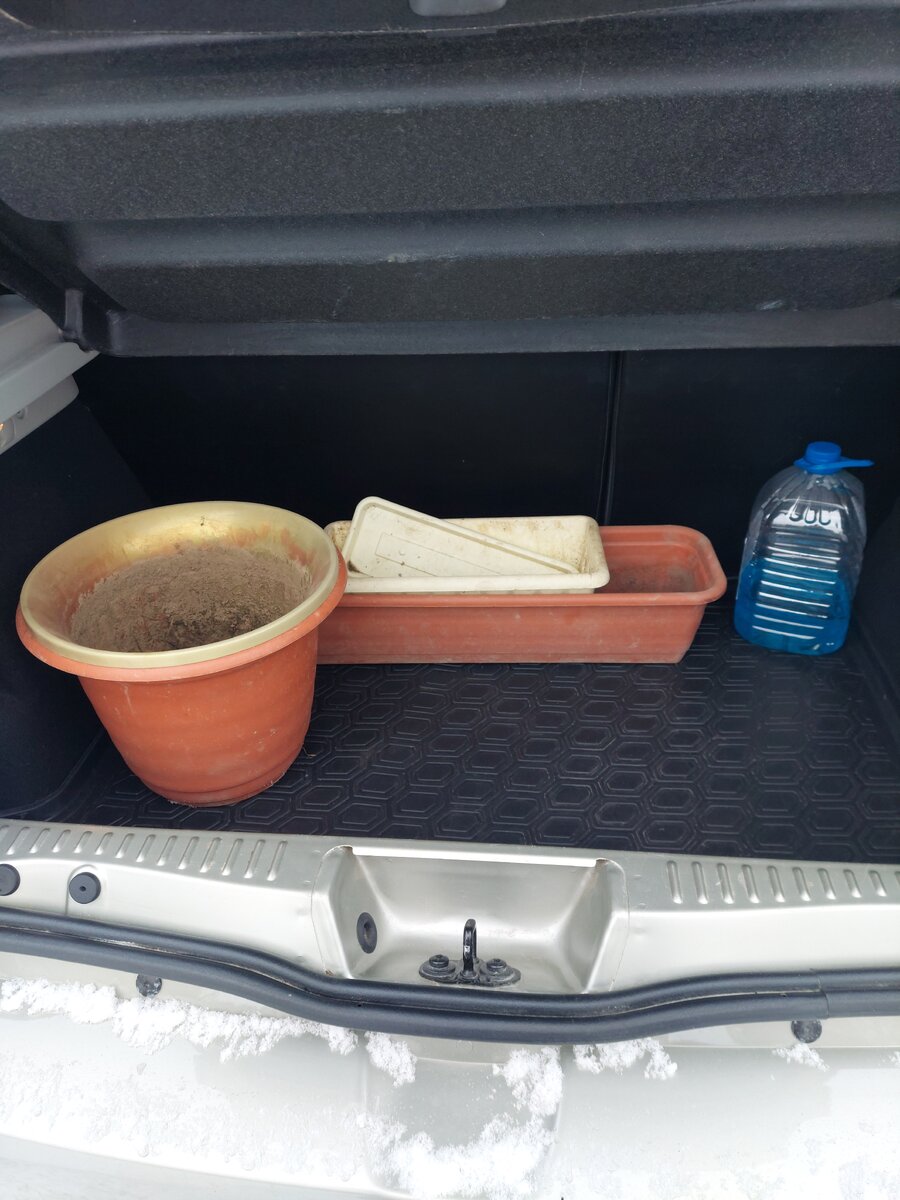 Закинула в багажник. Грязные от земли, привезу домой, будут отмокать от летней грязи, а потом, я надеюсь, будут, как новенькие!