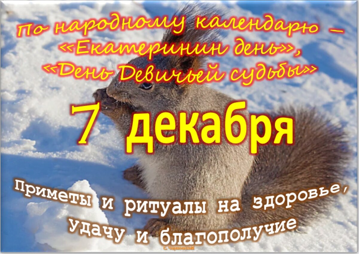 7 декабря - Традиции, приметы, обычаи и ритуалы дня. Все праздники дня во  всех календарях | Сергей Чарковский Все праздники | Дзен