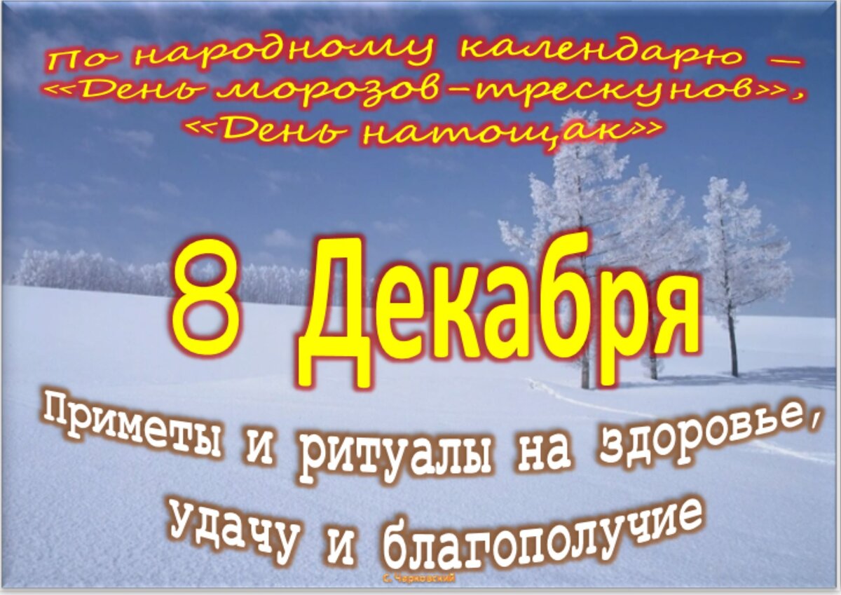 8 декабря - Приметы, обычаи и ритуалы, традиции и поверья дня. Все  праздники дня во всех календарях. | Сергей Чарковский Все праздники | Дзен