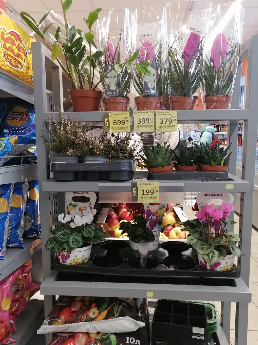 Мини-стеллаж для цветоводов. Чего тут только нет! Много чего нет. В том числе названий растений. И цен...