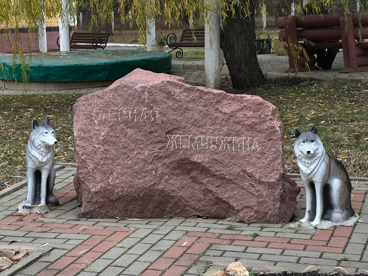 Санаторий г котовска