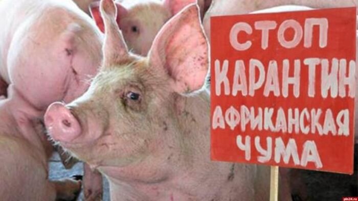 Источник фото: pln24.ru