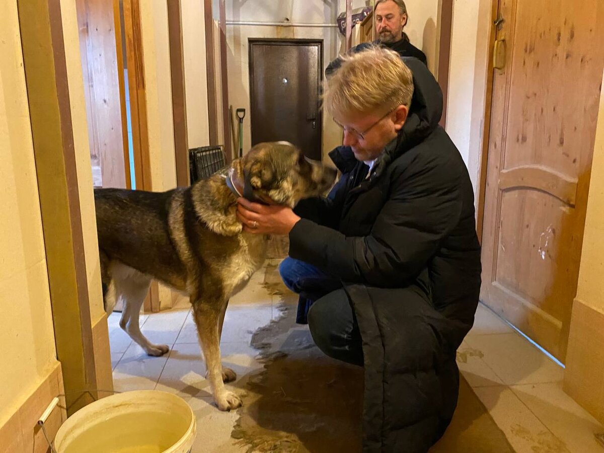 Председатель партии "Яблоко" Николай Рыбаков в Центре реабилитации бездомных животных (Владимирская область)