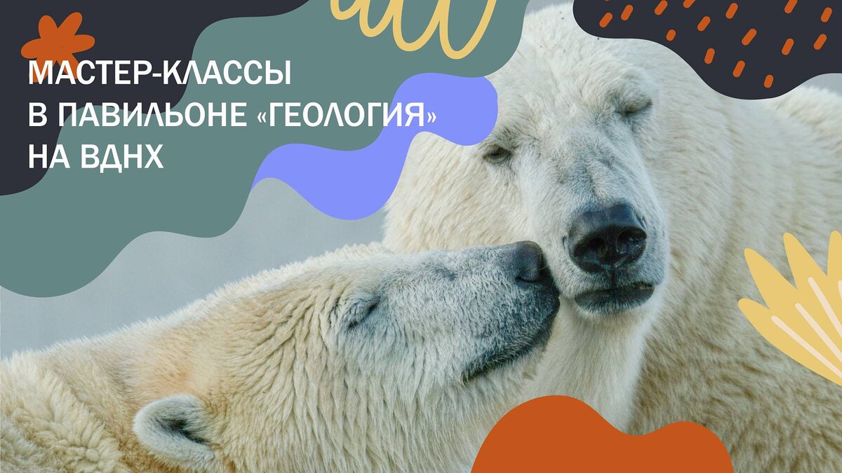 Фото: Государственный биологический музей имени К.А. Тимирязева