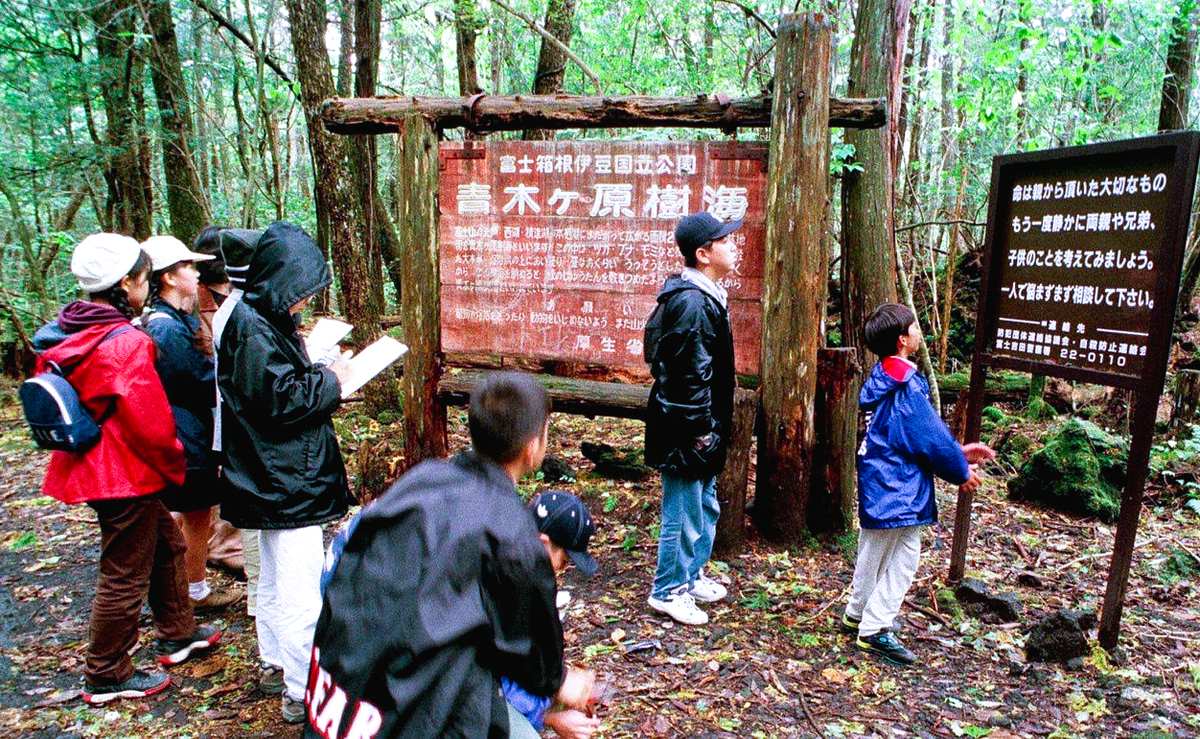 Про лес самоубийц. Лес Аокигахара Япония призраки.