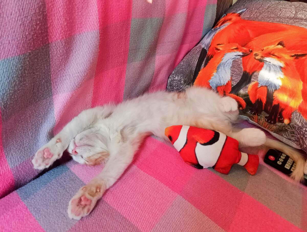 Детские фотки.В любимой позе.