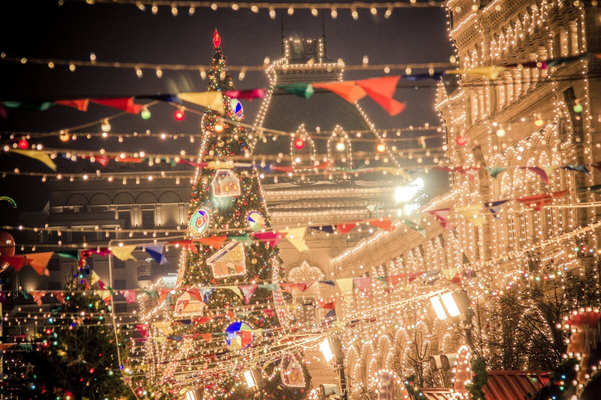     Как выбирают новогоднюю елку, которая стоит на Красной площади?