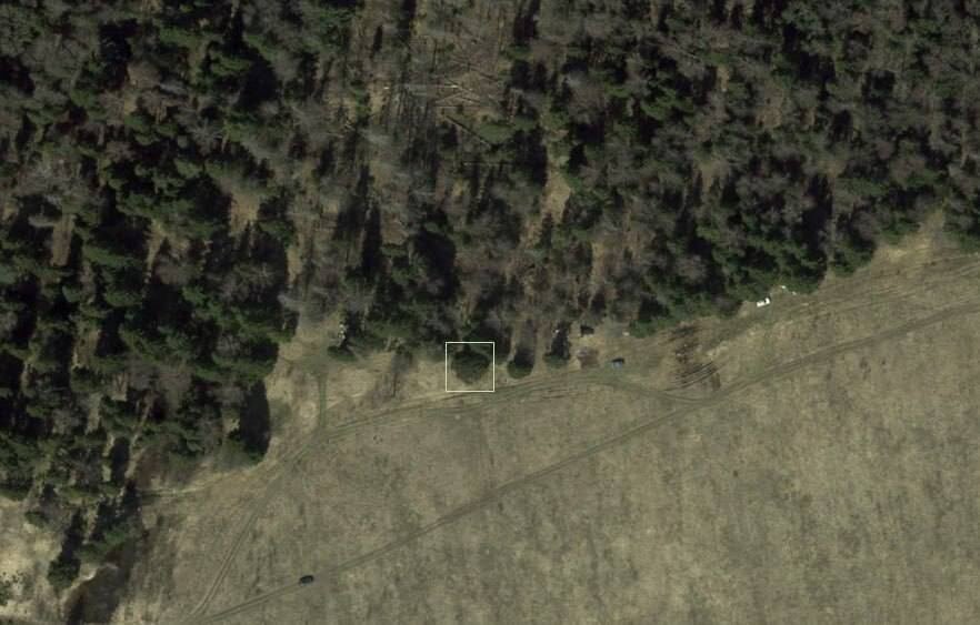    Рослесинфорг