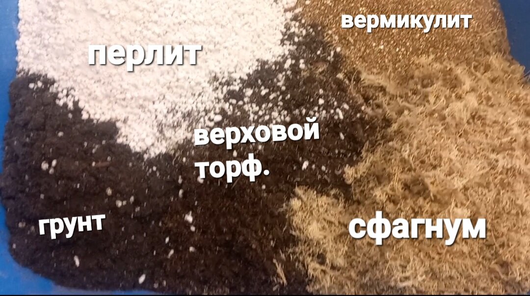 Для меня это идеально  намешанный субстрат. 