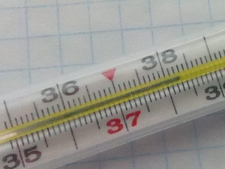     Фото: архив "МК в Калуге"