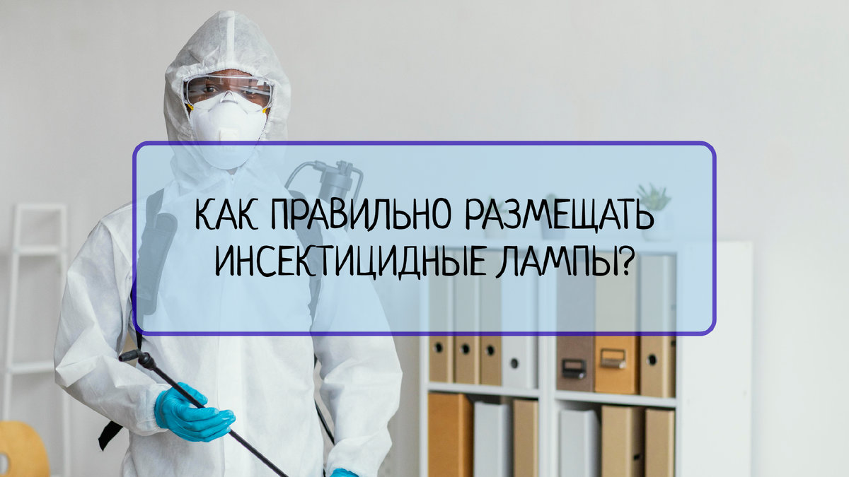 КАК ПРАВИЛЬНО РАЗМЕЩАТЬ ИНСЕКТИЦИДНЫЕ ЛАМПЫ? | Все о системах менеджмента |  Дзен