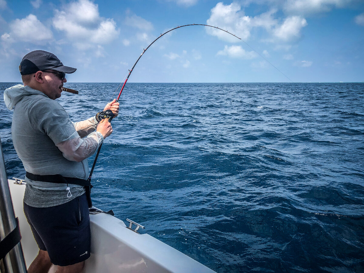 @Максим Петров