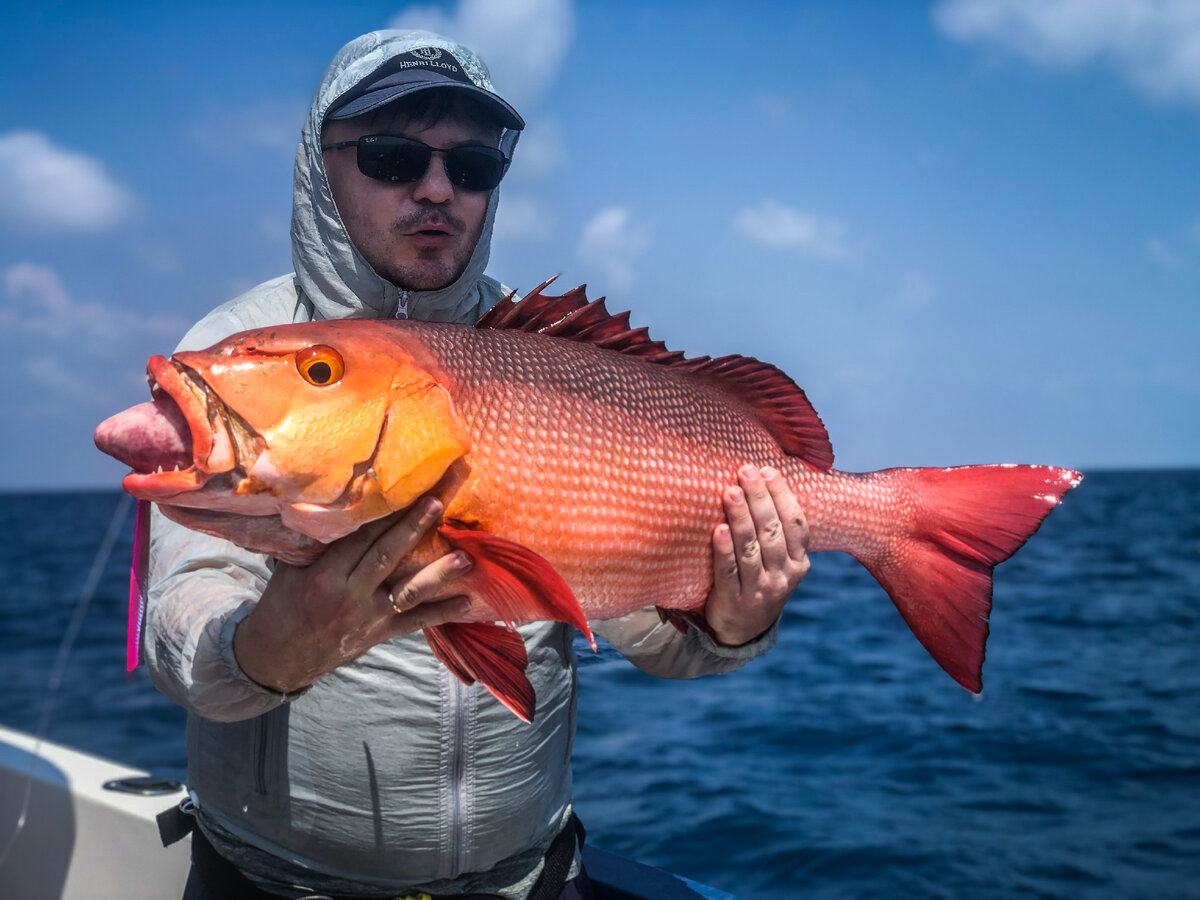 @Максим Петров