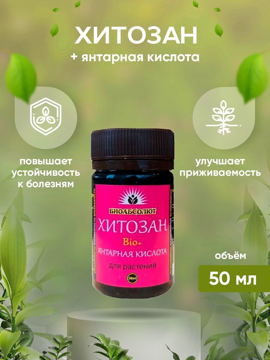 Фотография из свободного доступа интернета.