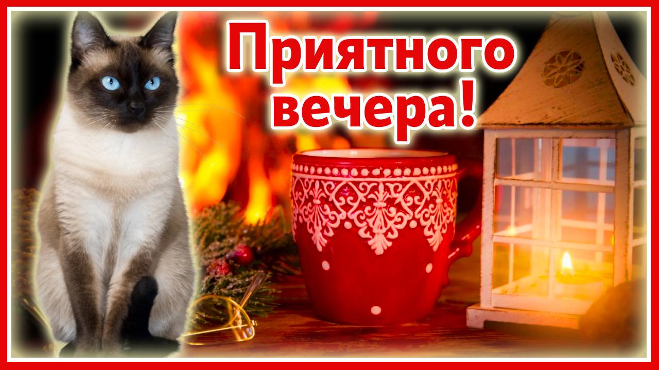 Хорошего вечера! Приятного отдыха!