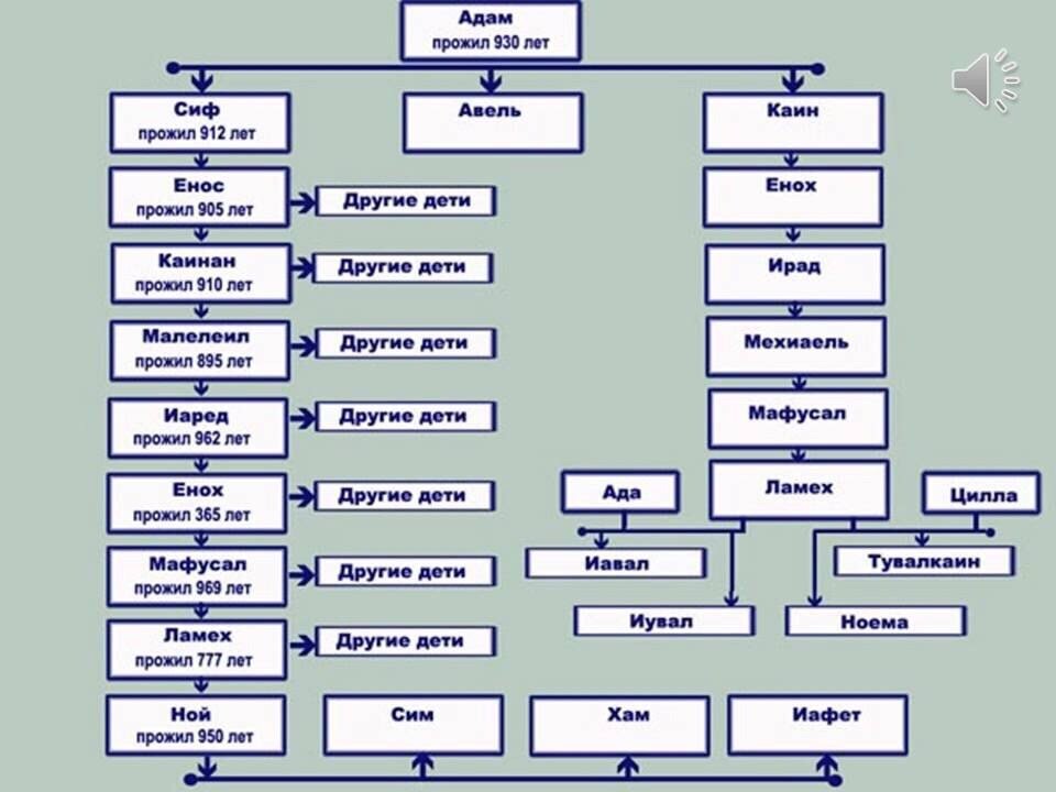 Сыновья ноя 3 буквы. Ветхий Завет родословная от Адама. Родословная Христа от Адама схема. Генеалогическое Древо от Адама и Евы до Иисуса Христа. Библия родословная от Адама и Евы.
