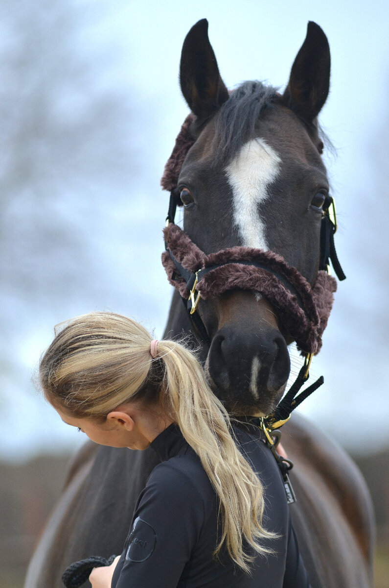 Дарси и Арина