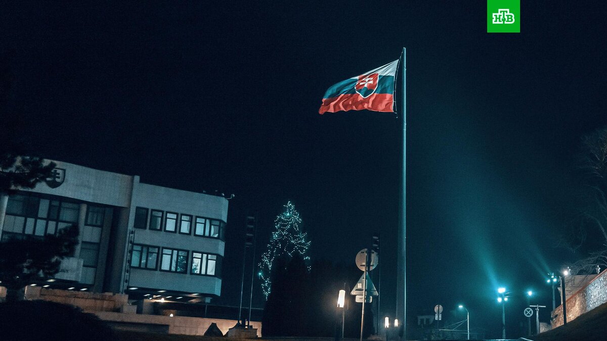    Фото: Michael Pointner / unsplash.com