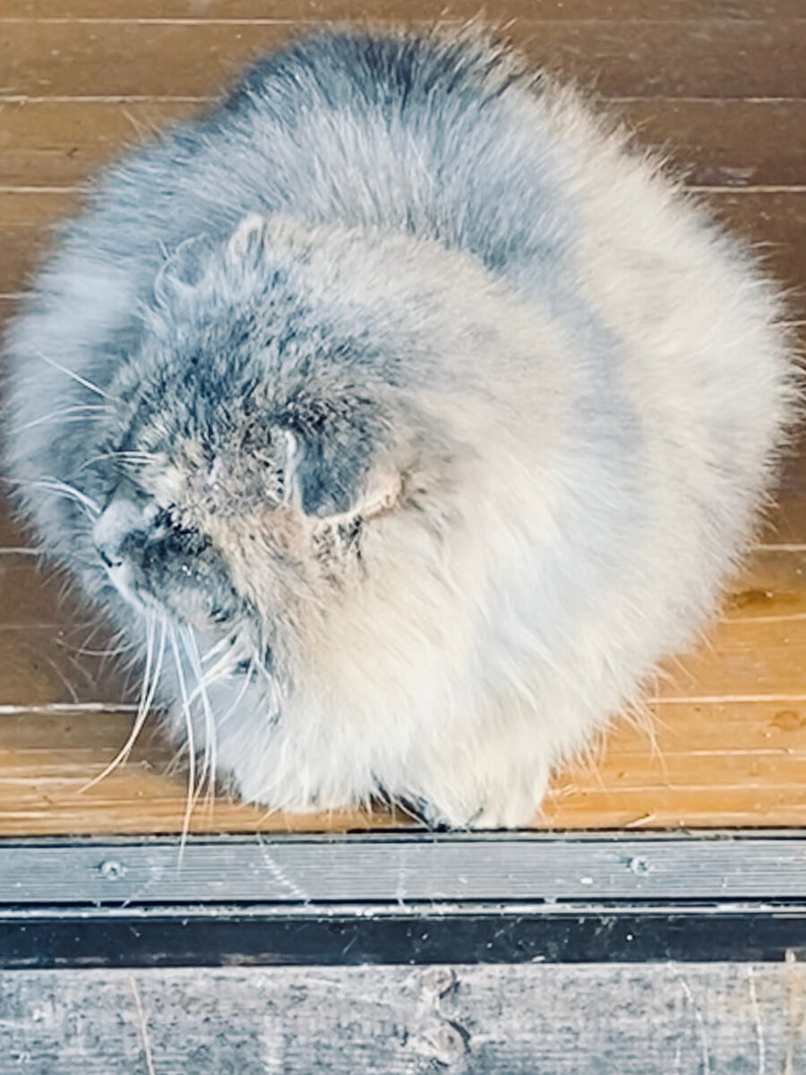 Куда пойти, куда податься! Везде фото автора.