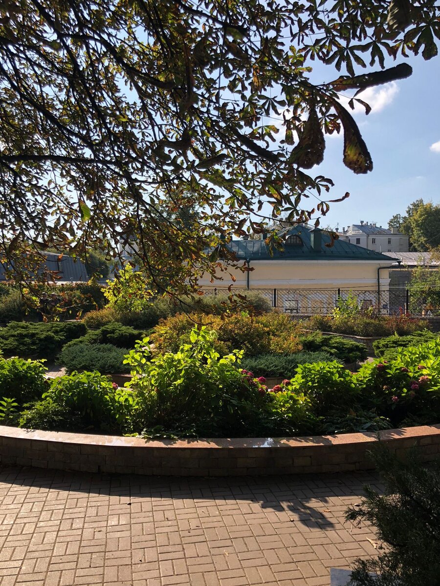 фото из Яндекса