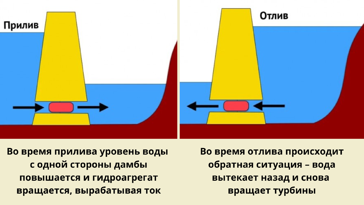 Приливы и отливы на Камчатке.