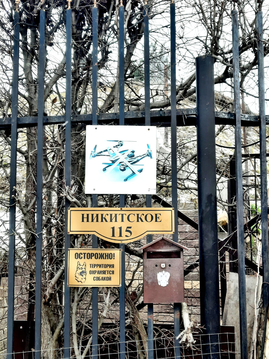 Домодедово пирамида в никитском