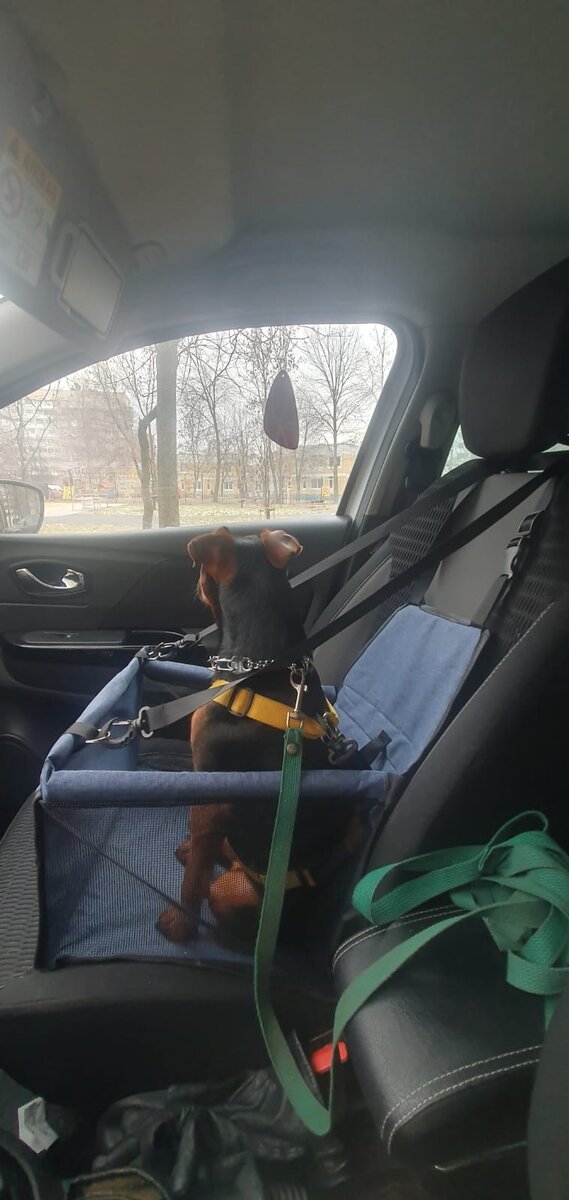 Собственное автокресло 