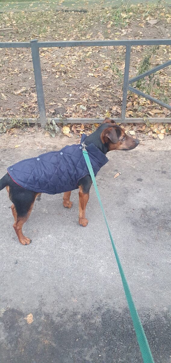 Оскар стоит на месте ! Я почти такого не видела.  