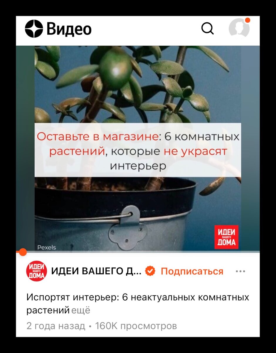Скрин сайта Дзен