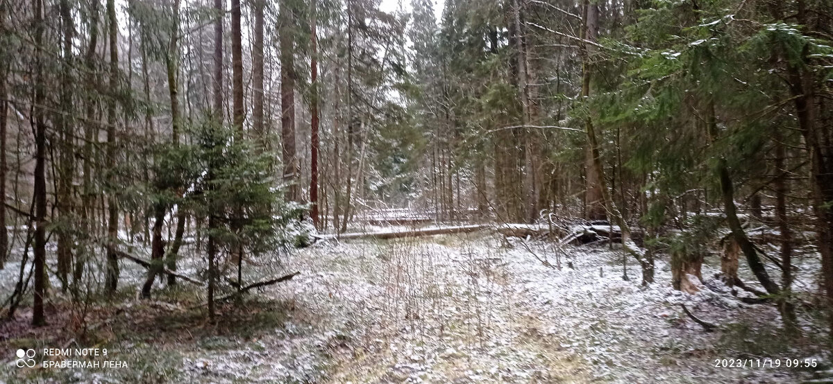 -1-2