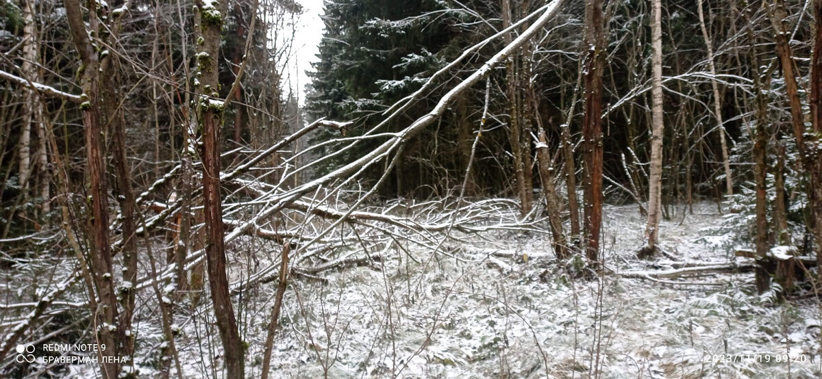 -1-3