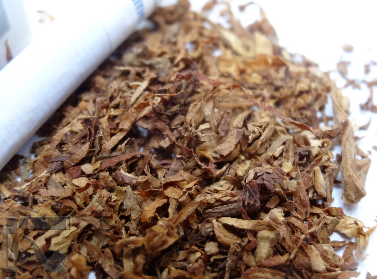 Пачка Parliament за 80 рублей! А это курить-то можно?! | Уголок ...