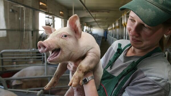    © РИА Новости . Игорь Зарембо