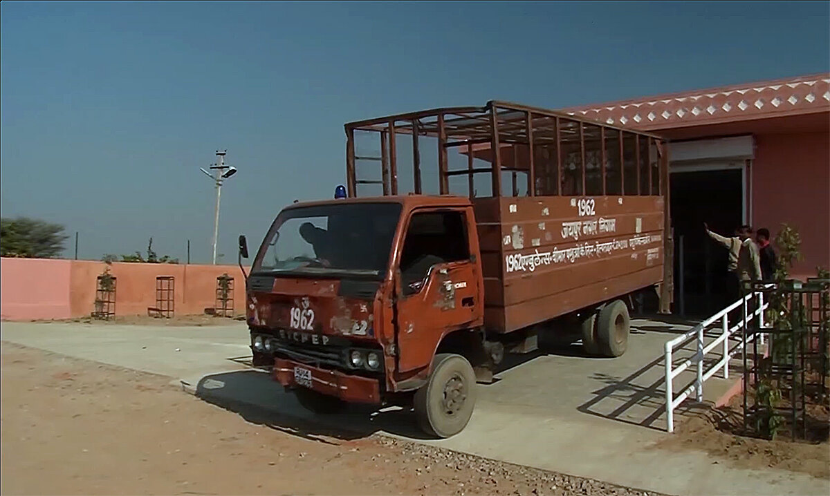 Скорая помощь для коров