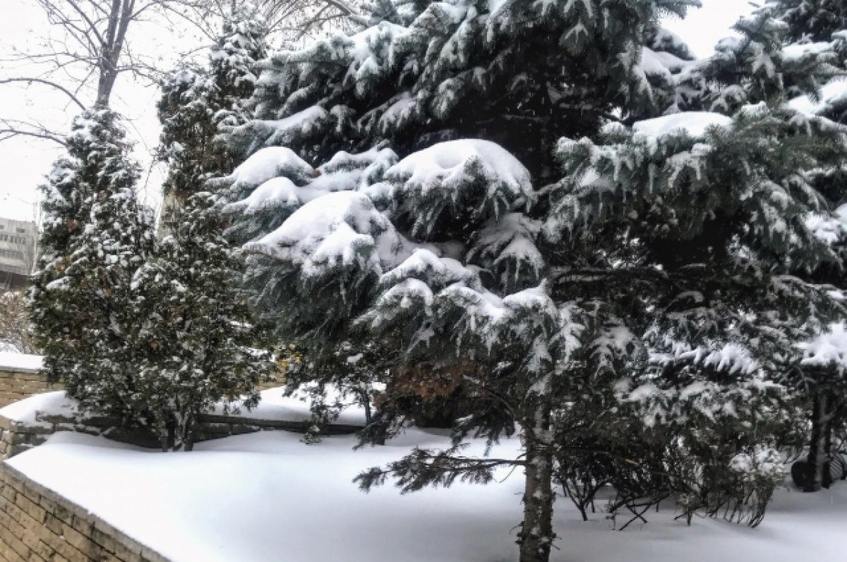    Спасатели МЧС помогли трём рыбакам выбраться из снежного плена