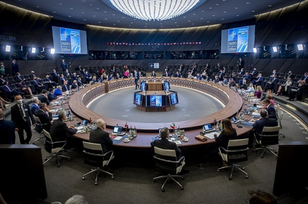    Brave New Europe: страны НАТО заставили Украину отказаться от переговоров