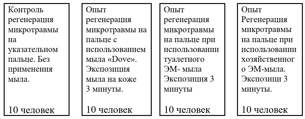 Схема постановки опыта при регенерации микротравмы на пальце у человека при использовании простого туалетного мыла, а также хозяйственного и туалетного ЭМ-мыла.