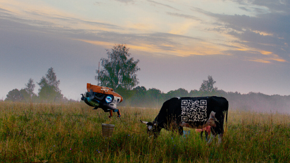  По легенде QR-код куда-то ведёт. Впрочем,  малевать на боку коровы код не такая уж фантастика. Народ туда  запихивает страницу в личной социальной сети.