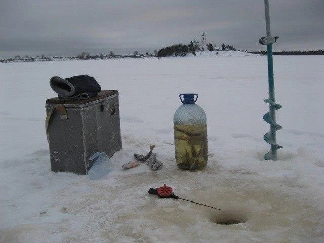 КАК НАЛОВИТЬ И СОХРАНИТЬ ЖИВЦА ЗИМОЙ