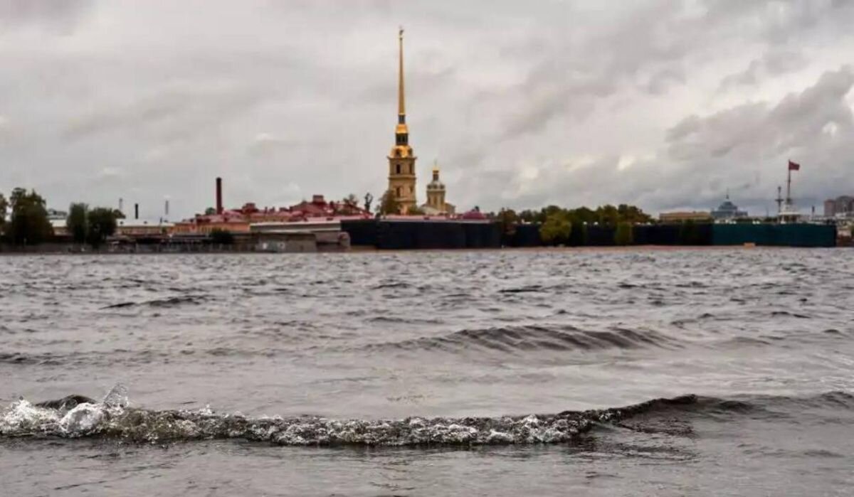 Река Нева коричневая