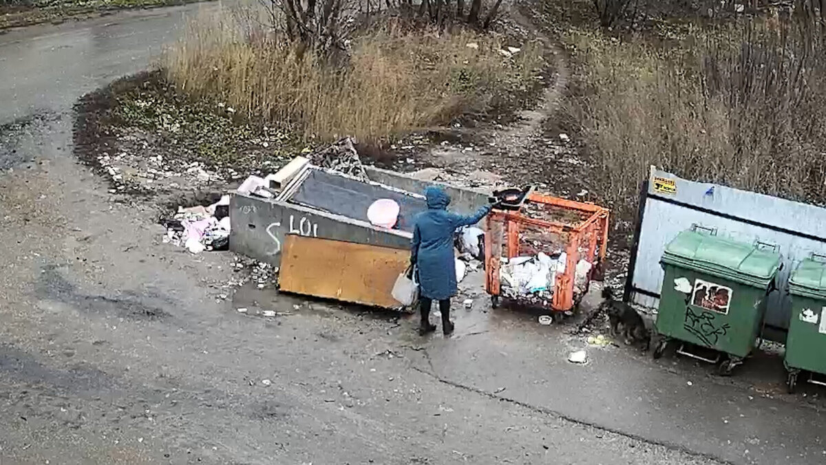 Положите мусор в контейнер — вас снимает камера | Красноуфимск Онлайн | Дзен